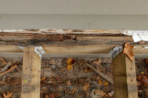 Denton Wood Rot Repair