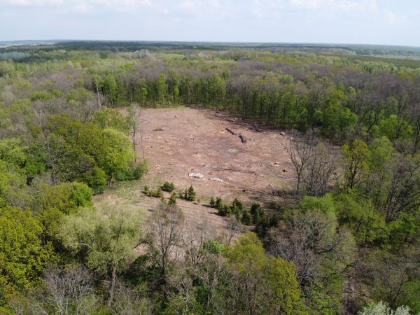 Denton Land Clearing